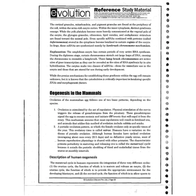 Evolution zoology sample 3