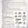 Vision IAS Anthropology Notes 2025-26 | UPSC CSE Anthropology Optional Set of 2