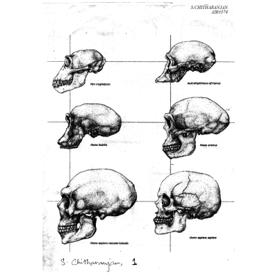 S. Chitranjan Anthropology Handwritten Notes S1