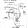 Shubhra Ranjan PSIR Handwritten Notes 2026 English Medium | Complete Political Science and IR Class Notes for UPSC CSE Mains | Set of 5 Booklets Covering Paper 1, Polity, International Relations | Printed Study Material by Shubhra Ranjan