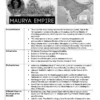 Vyasa IAS UPSC EPFO Notes 2026 Printed Booklets | UPSC EPFO 2026 English Medium Notes Set of 12 Booklets by Vyasa IAS | Accountancy, Polity, Labour Laws, Modern History, Economics, General Science | UPSC EPFO Exam Study Material
