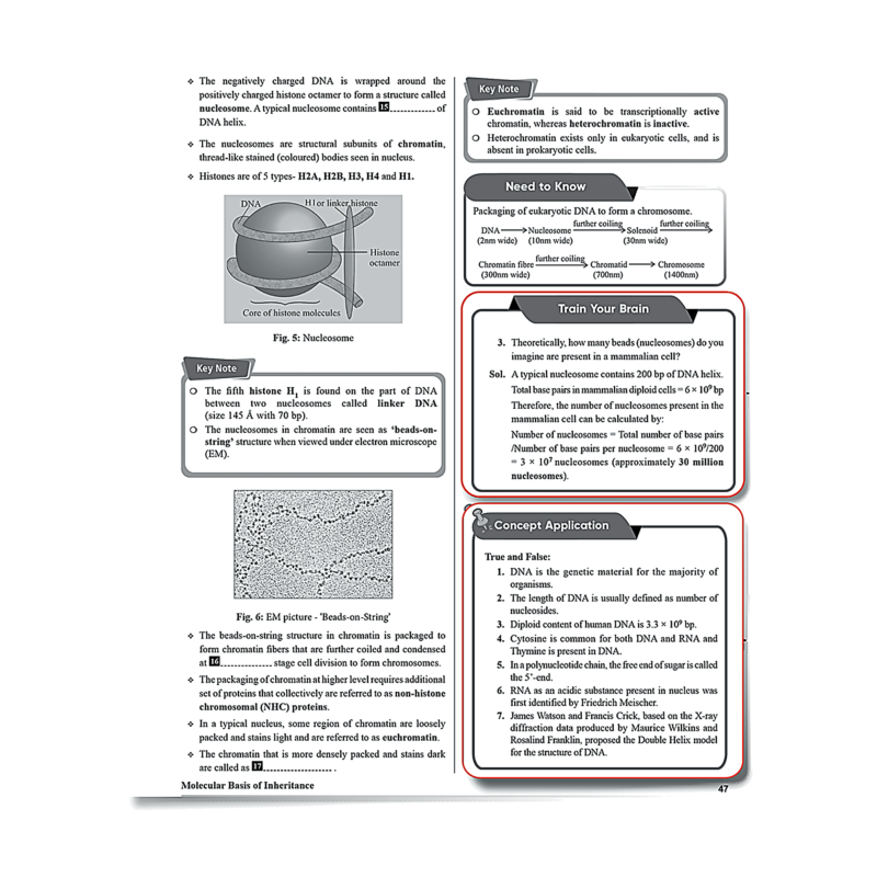 PW NEET 2025 modules, view 3