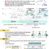 Parmar SSC GK Physics in Hindi 4.0 Batch Notes 2026-27