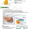 Parmar SSC GK Biology in Hindi 4.0 Batch Notes 2026-27