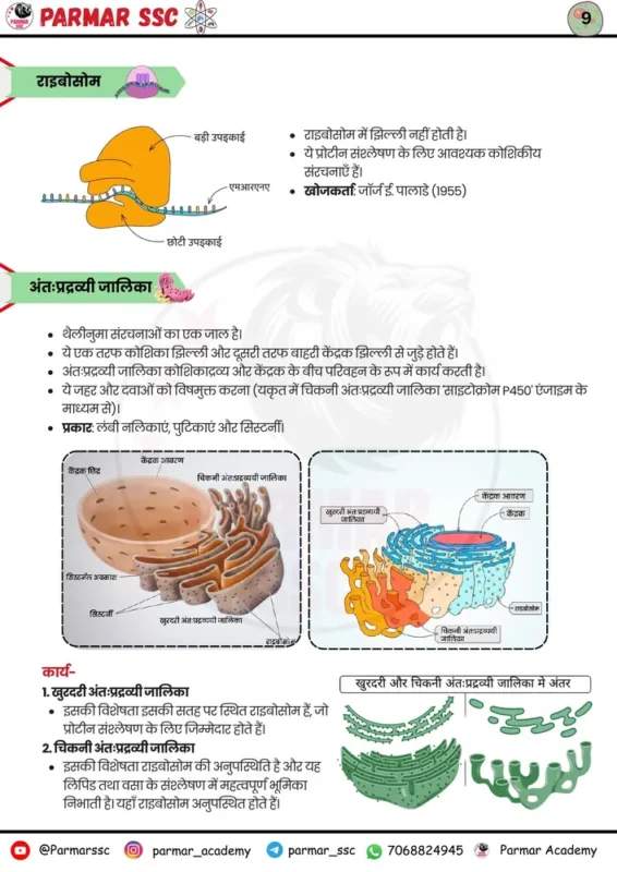 Parmar SSC GK Biology Hindi notes sample page 1