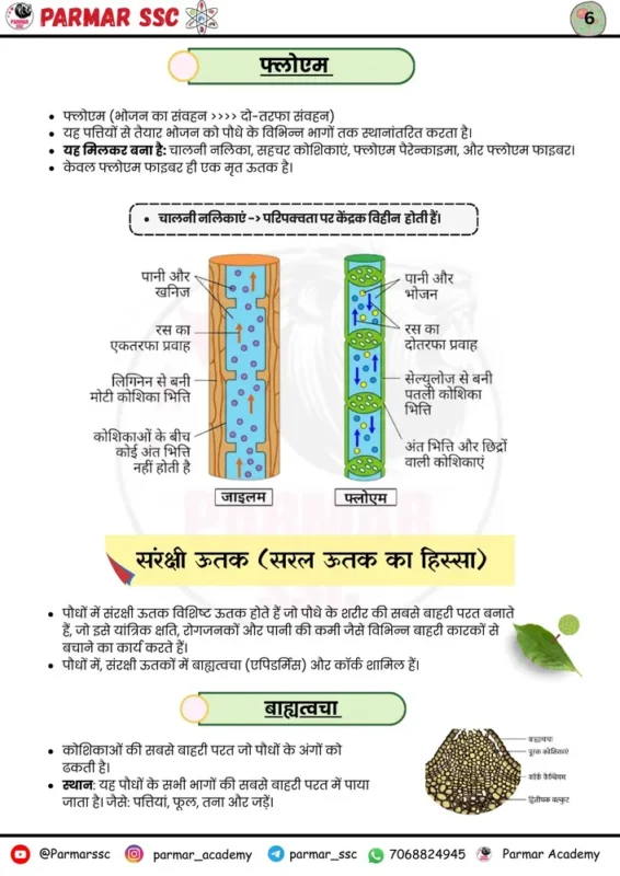 Parmar SSC GK Biology Hindi notes sample page 2