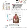 Parmar SSC GK Biology in Hindi 4.0 Batch Notes 2026-27