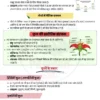 Parmar SSC GK Biology in Hindi 4.0 Batch Notes 2026-27